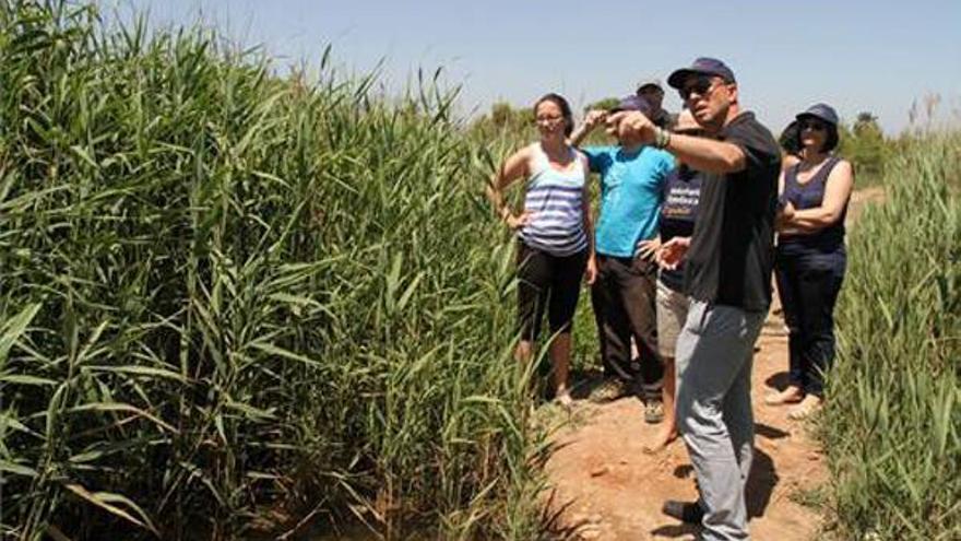 El Estany, paraje en proceso de ‘adopción’