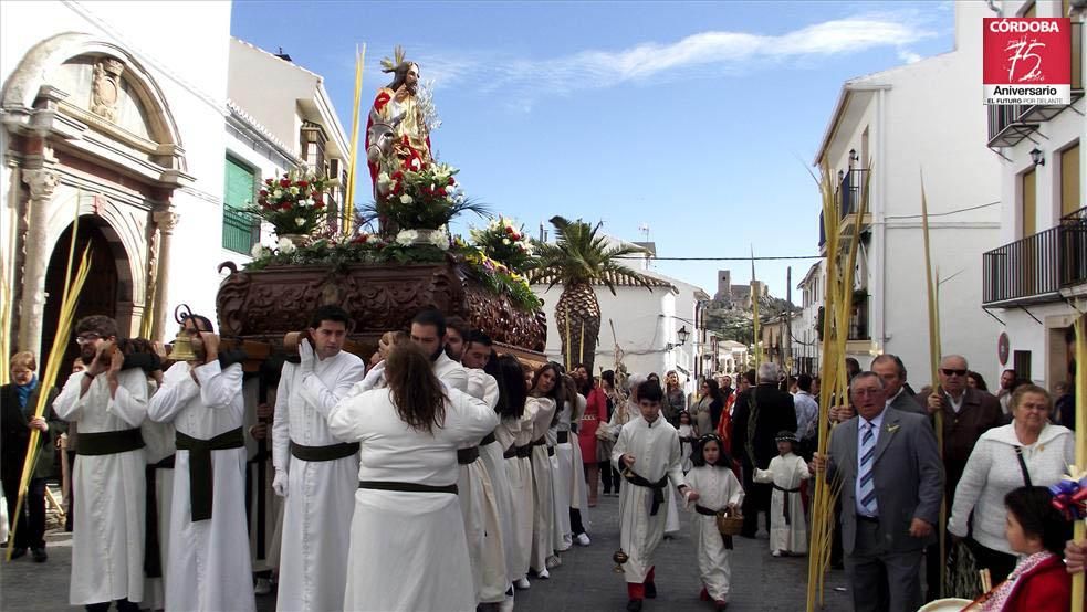 FOTOGALERÍA / El Domingo de Ramos en la provincia