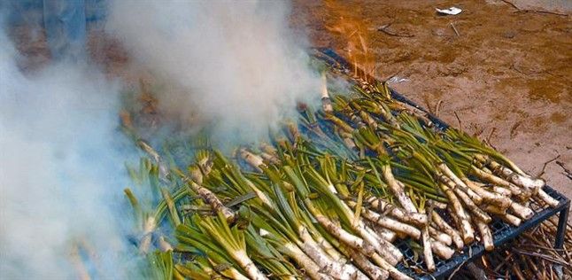 'Calçots' de Valls en BCN_MEDIA_1