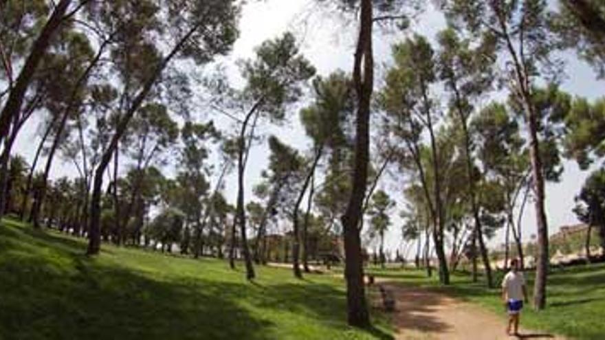 Más de 20.000 árboles procuran sombra a los pacenses en viales, parques y jardines