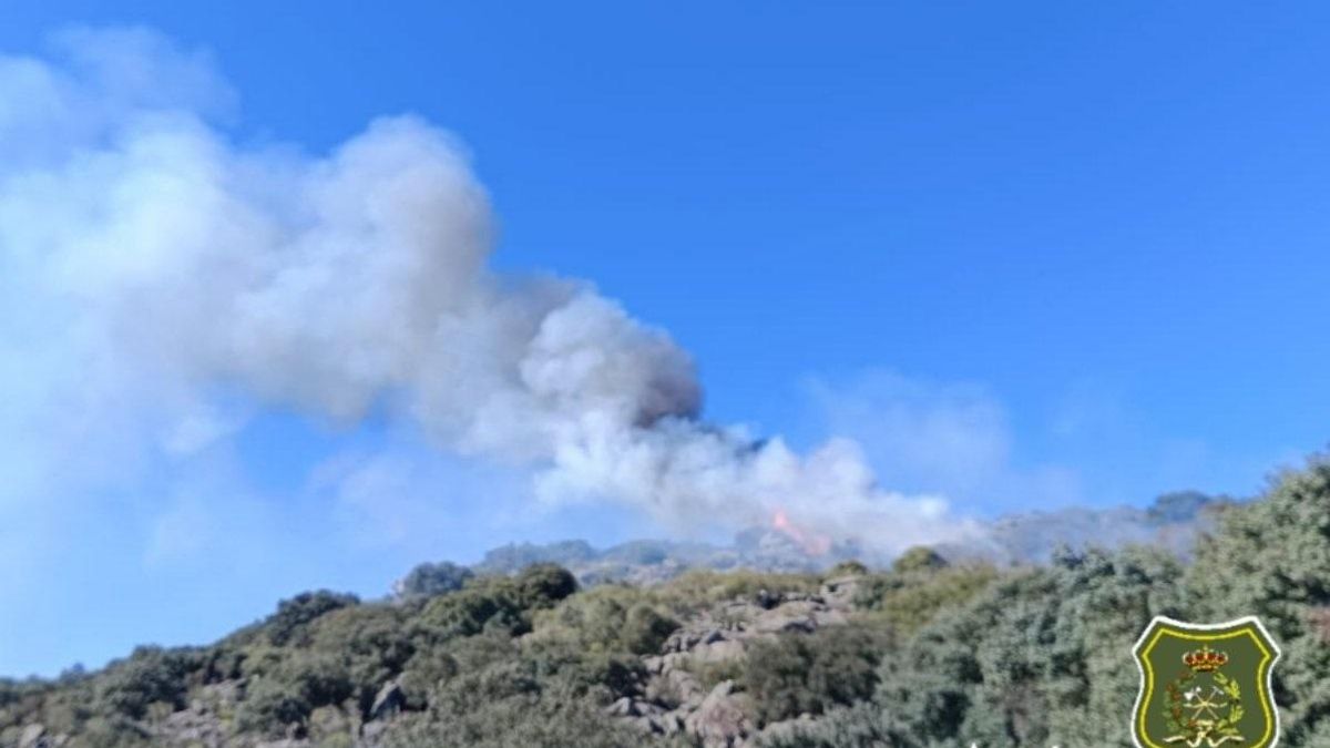 Incendio Forestal San Martín del Pedroso