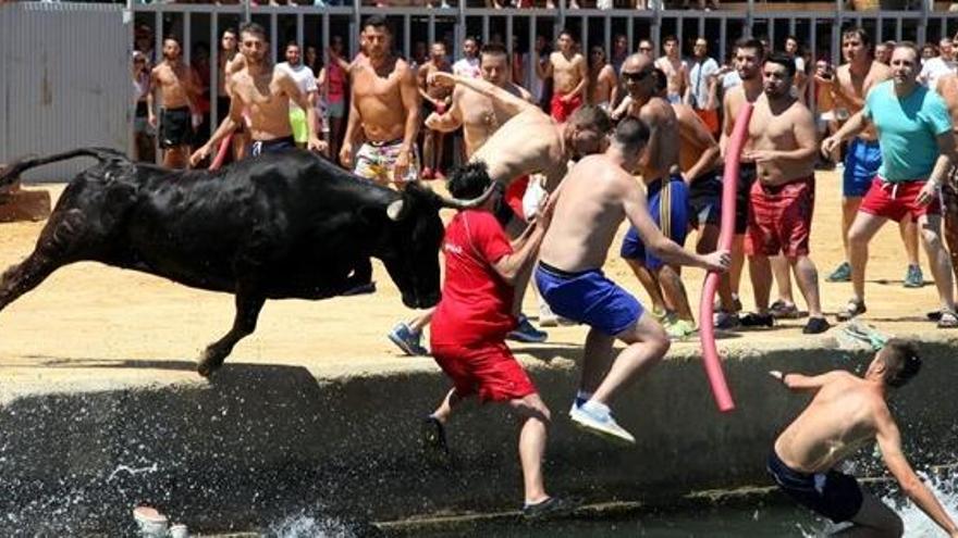 El chupinazo inicia la Festa Major de Dénia