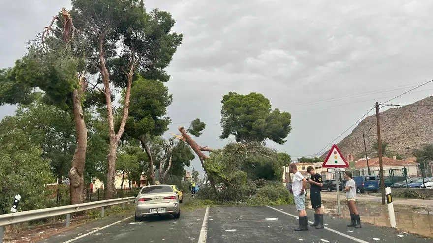 Los efectos del reventón húmedo en la Vega Baja