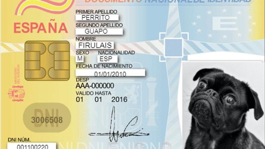 ¿Tendré que sacarle una foto a mi perro? Resolvemos las dudas del nuevo DNI para mascotas