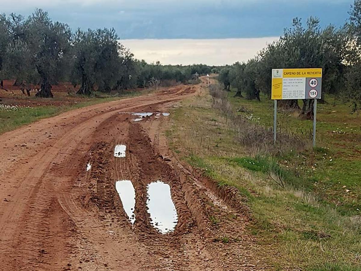 Una zona del camino de la Reyerta en mal estado tras las lluvias