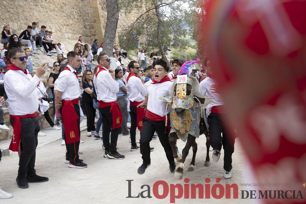 Fiestas de Caravaca | Desfile infantil del Bando de los Caballos del Vino