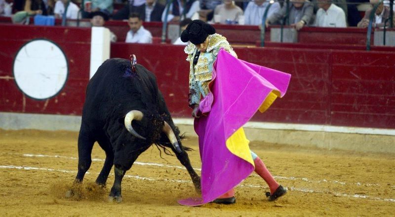 Novillada en la plaza de Toros