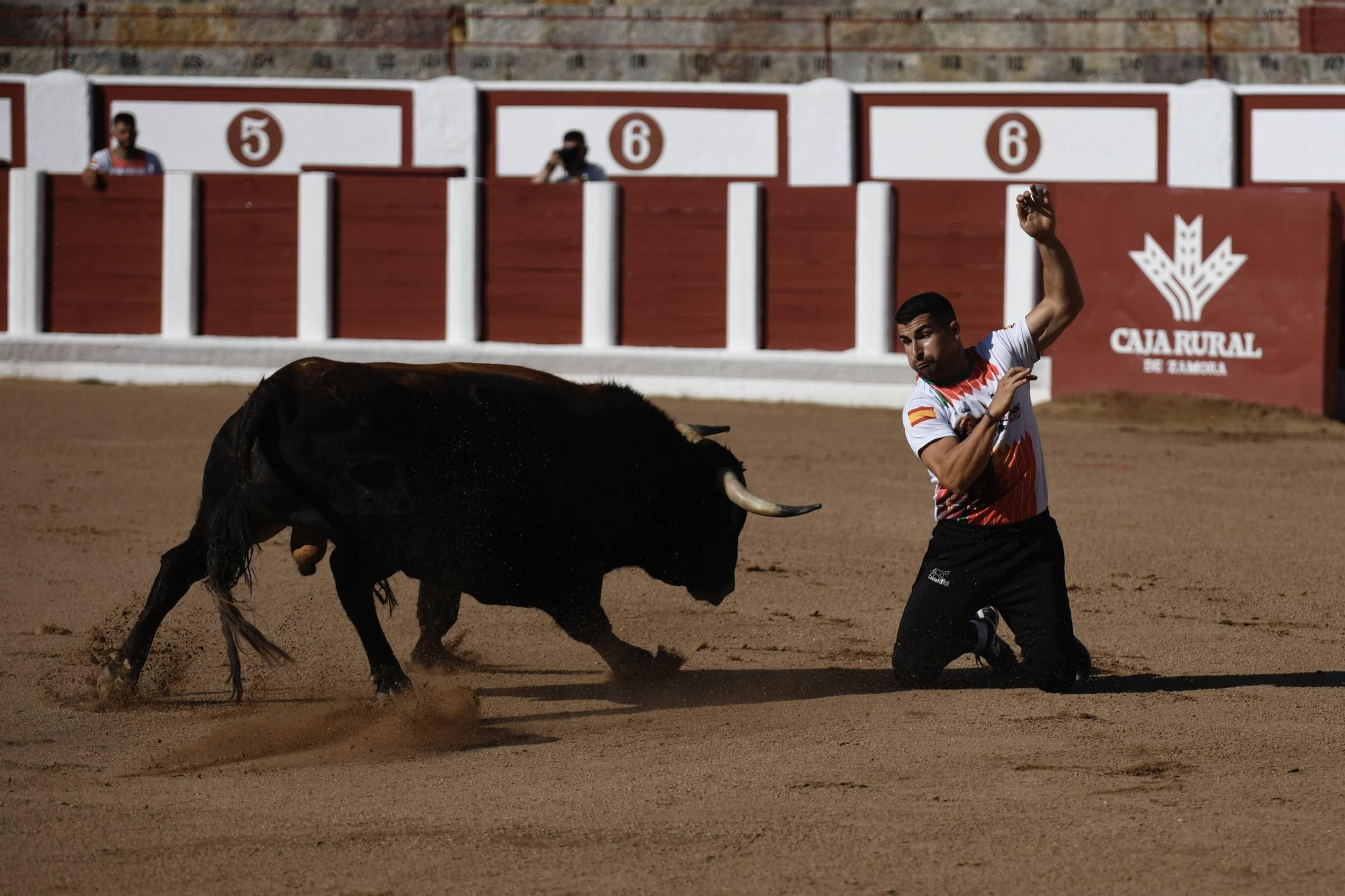 Concurso Recortadores San Pedro 2025
