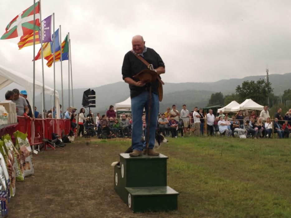 Concurs de gossos d'atura de Castellterçol