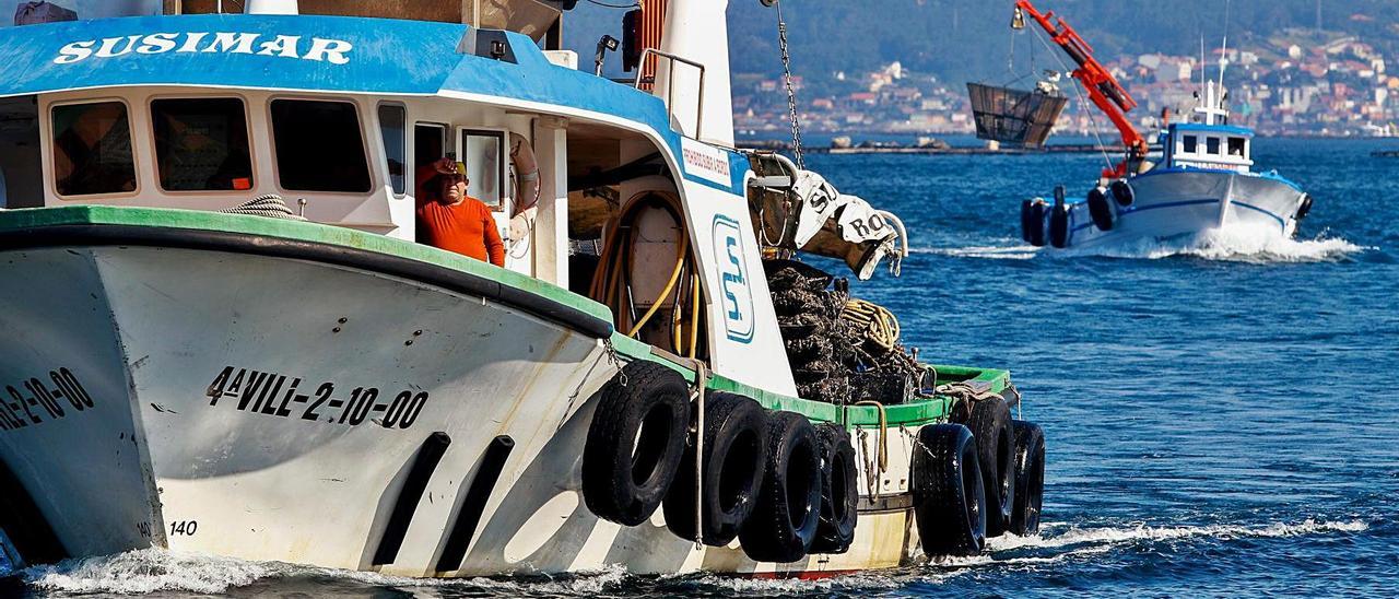 La llegada a los puertos de barcos cargados de mejillón está siendo constante estos días.