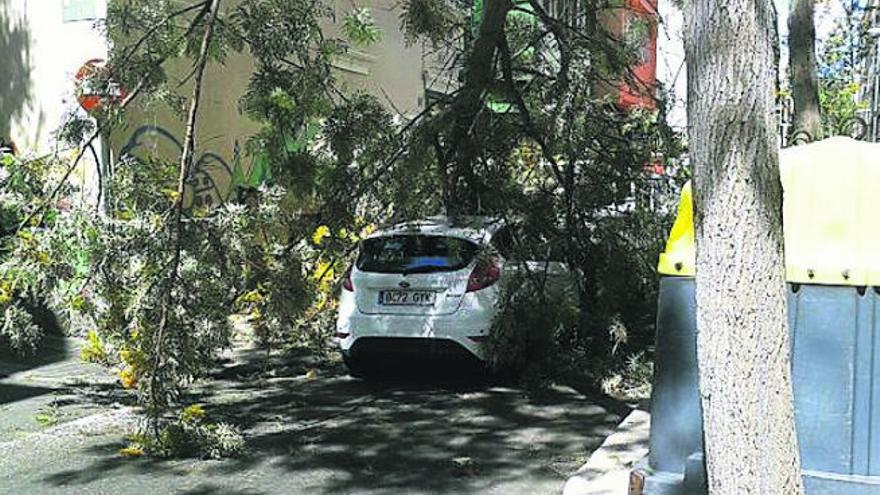 Fallece atropellada en la carretera del Sur, en Telde