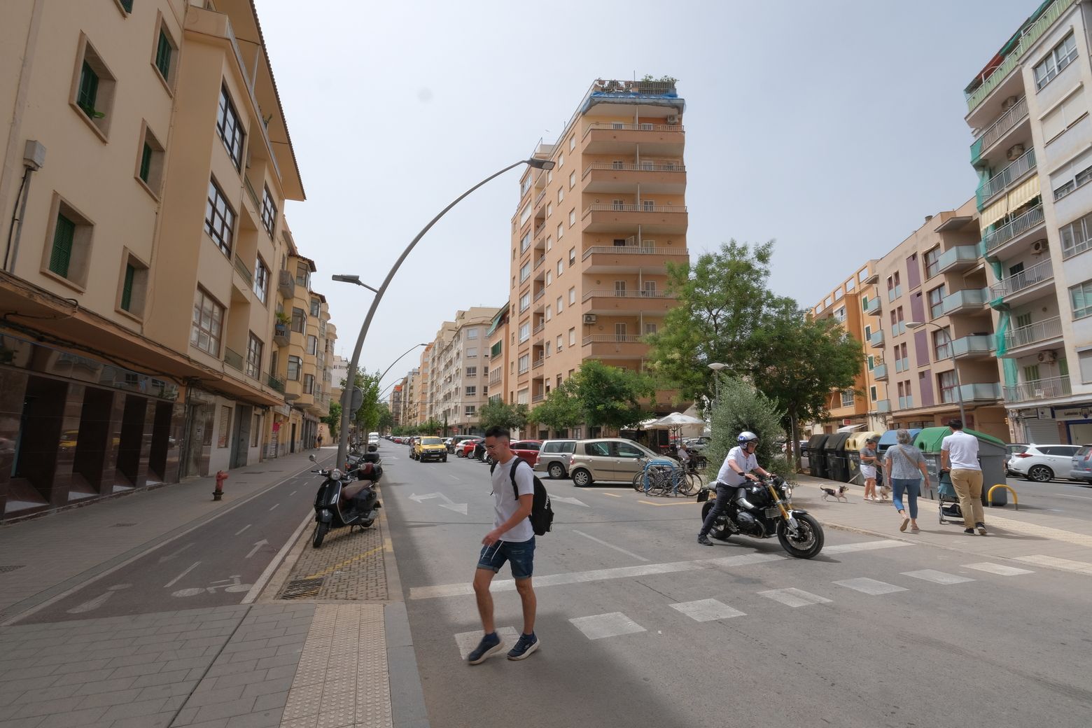 Las fotos de la calle General Ricardo Ortega de Palma, donde el Ayuntamiento talará 39 árboles