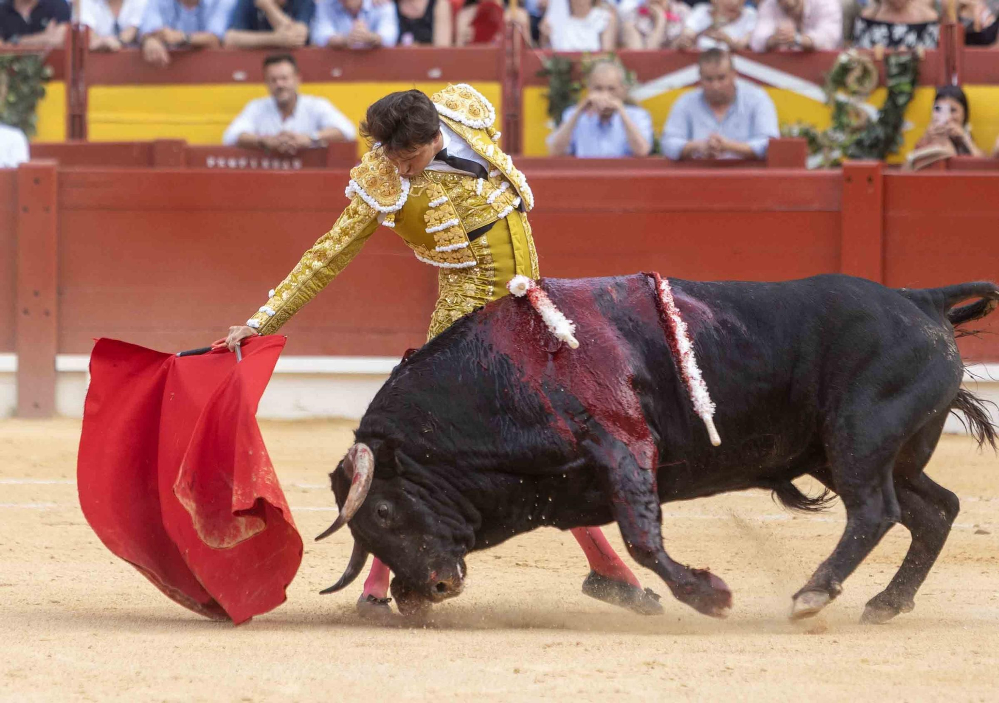 Manzanares, Roca Rey y Navalón no defraudan en la Feria de Hogueras 2025