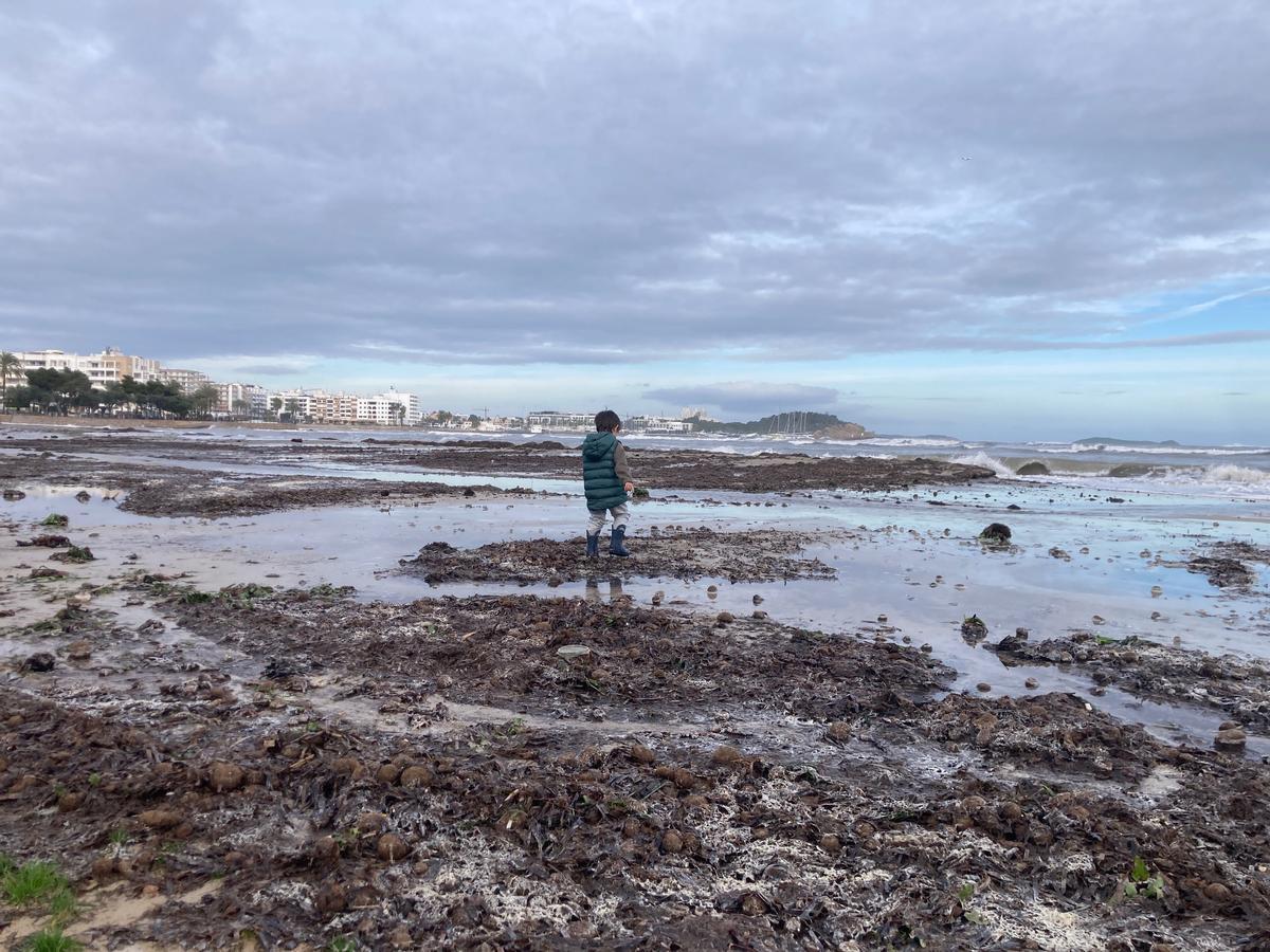 Estado que presentaba este miércoles la playa de Santa Eulària.