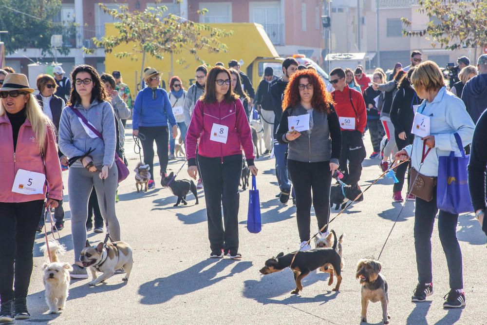 Almoradí celebra su primera Caminata Solidaria con animales