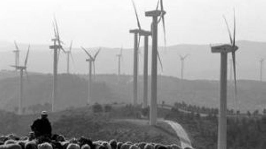 Los planes de renovables generarían 4 veces el consumo de Extremadura