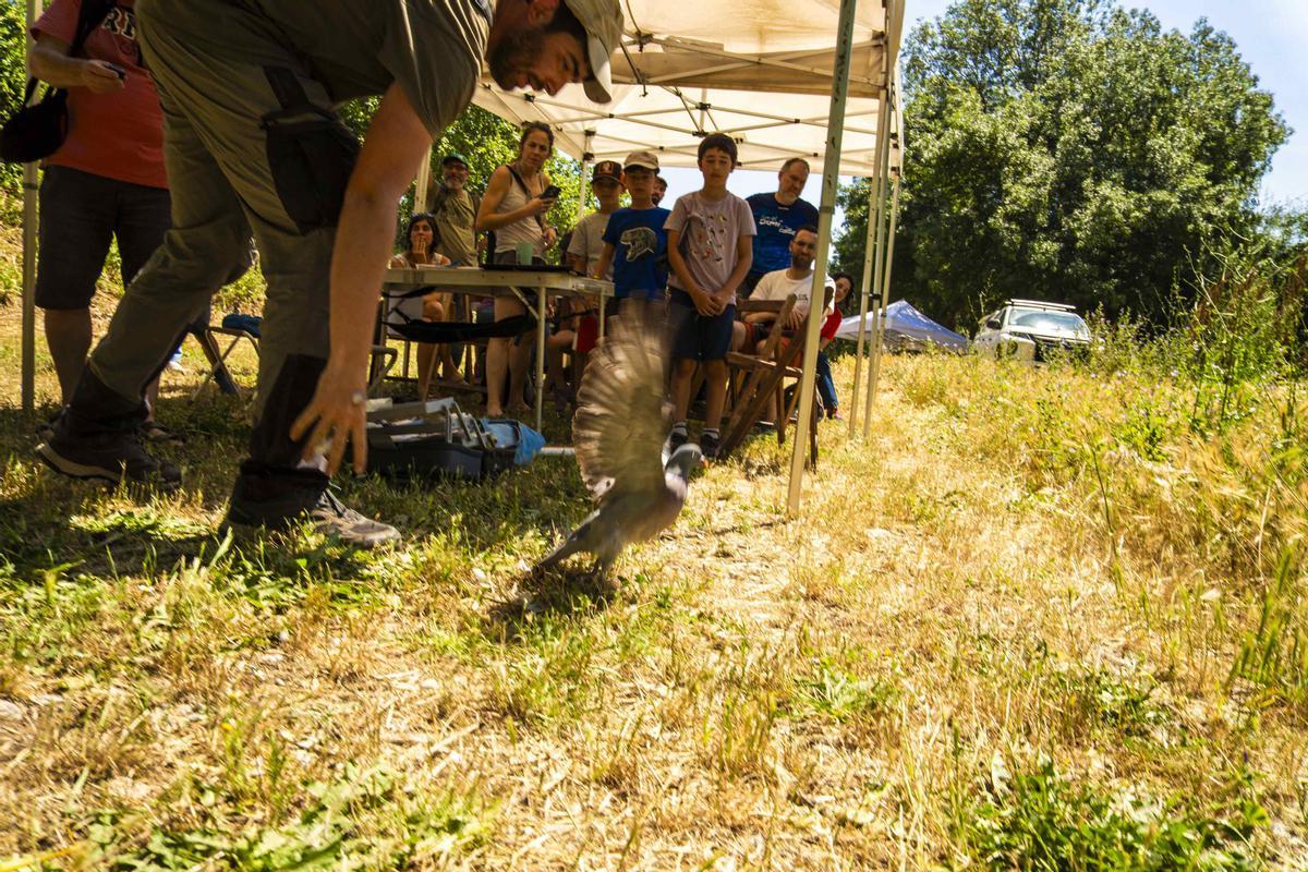 Les imatges de la Festa del Riu de Manresa