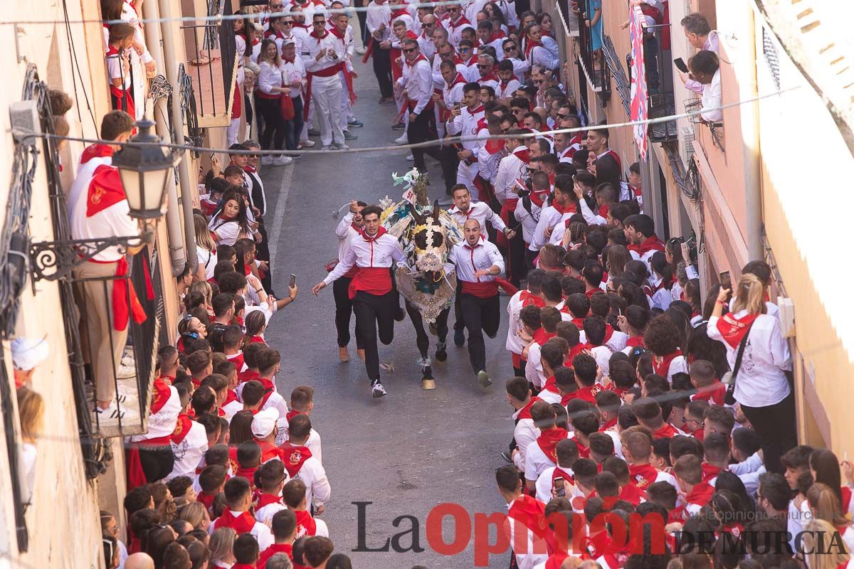 Caballos del Vino en la cuesta de la Simona