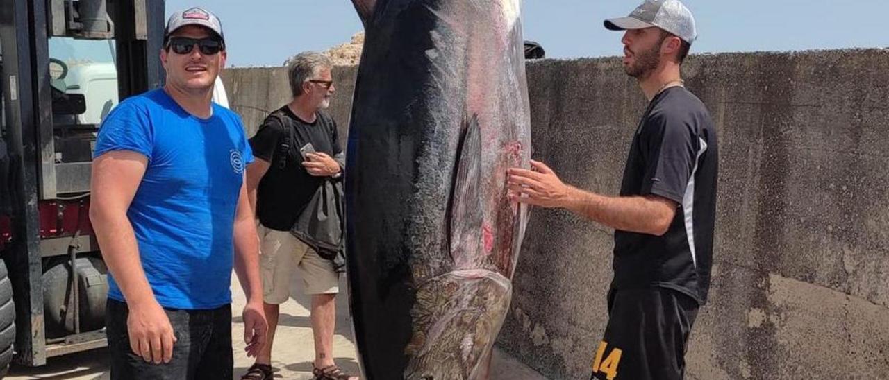 Mallorca: Antoni, pescador profesional: "Estuve peleando con él más de tres  horas antes de poder sacarlo del agua"