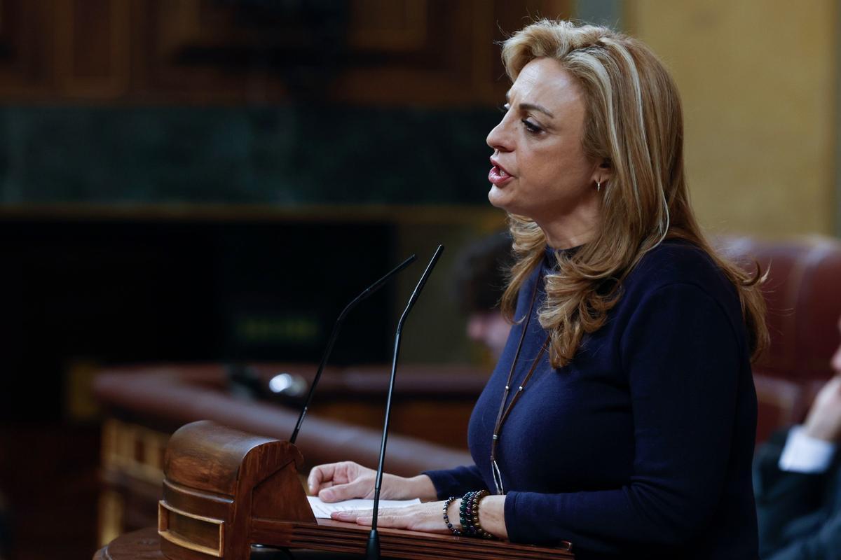 La diputada de CC, Cristina Valido, en su intervención en el Congreso.