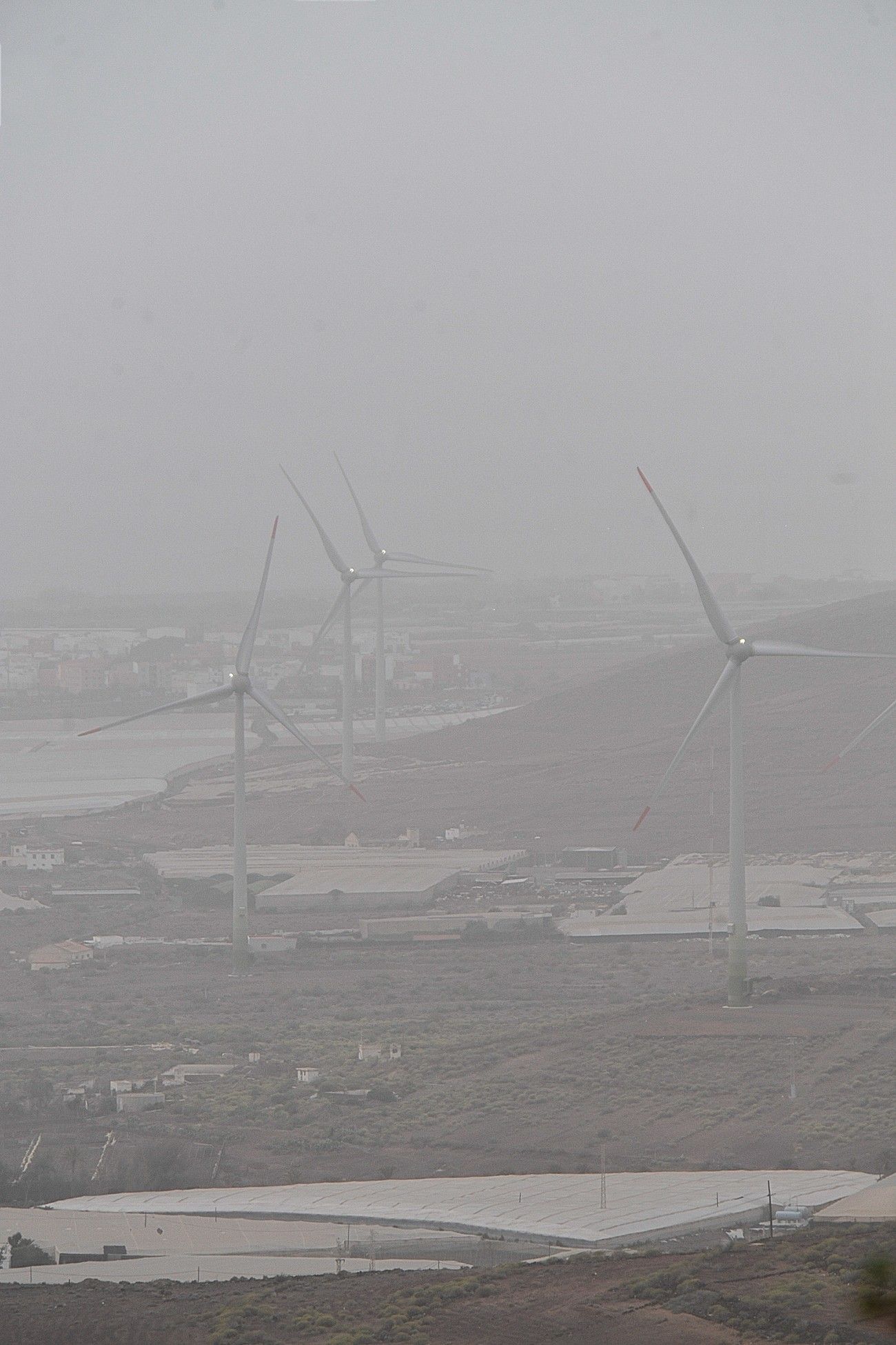 Calima en Las Palmas de Gran Canaria (17/03/2022)