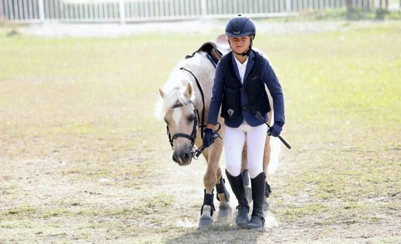 Trofeo Hípico Nacional 'Ibercaja-Ciudad de Zaragoza'