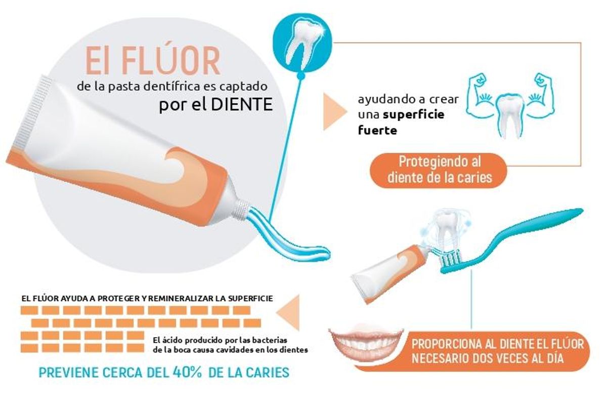 Funcionamiento del flúor