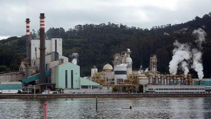 Una vista del complejo industrial de Ence desde la otra orilla de la ría. // Rafa Vázquez