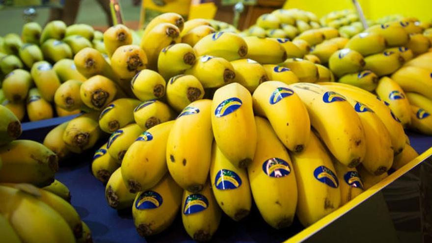 Medio millón de plátanos de Canarias, gratis en el Metro de Madrid