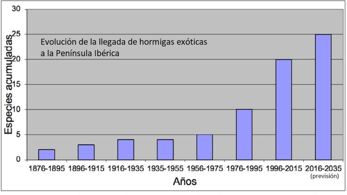 La evolución de las especies exóticas de hormigas en España