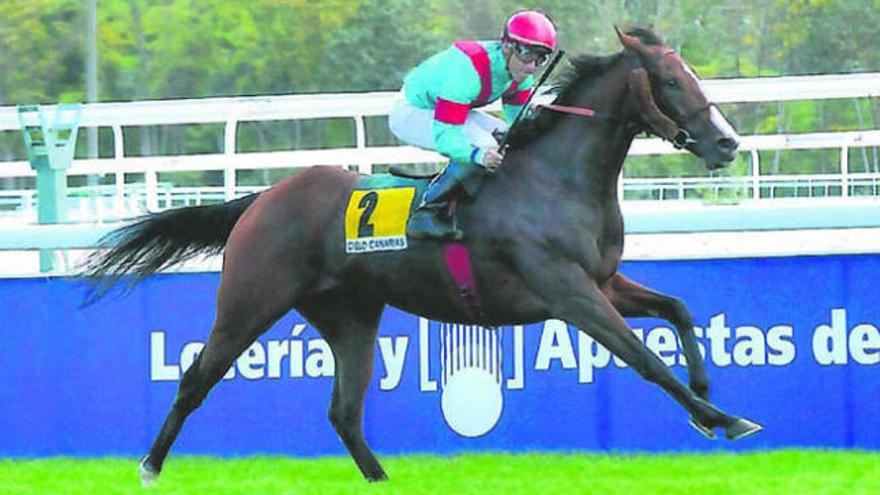 Una cuadra joven, pero con solera