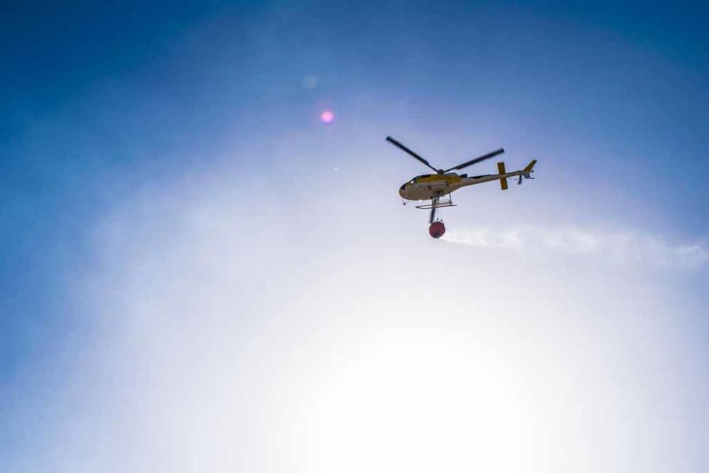 Un incendio quema una hectárea de un descampado de Ca n´Escandell