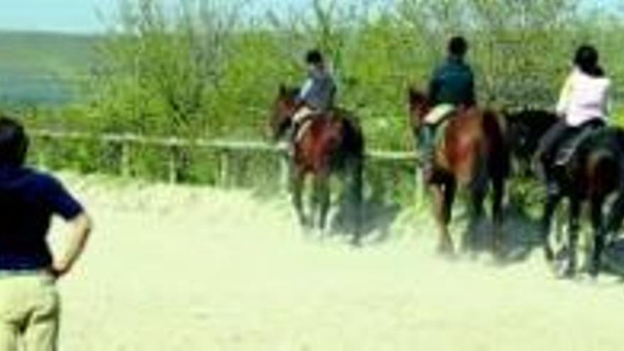 El autismo y la hiperactividad: ¿mejoran a caballo?