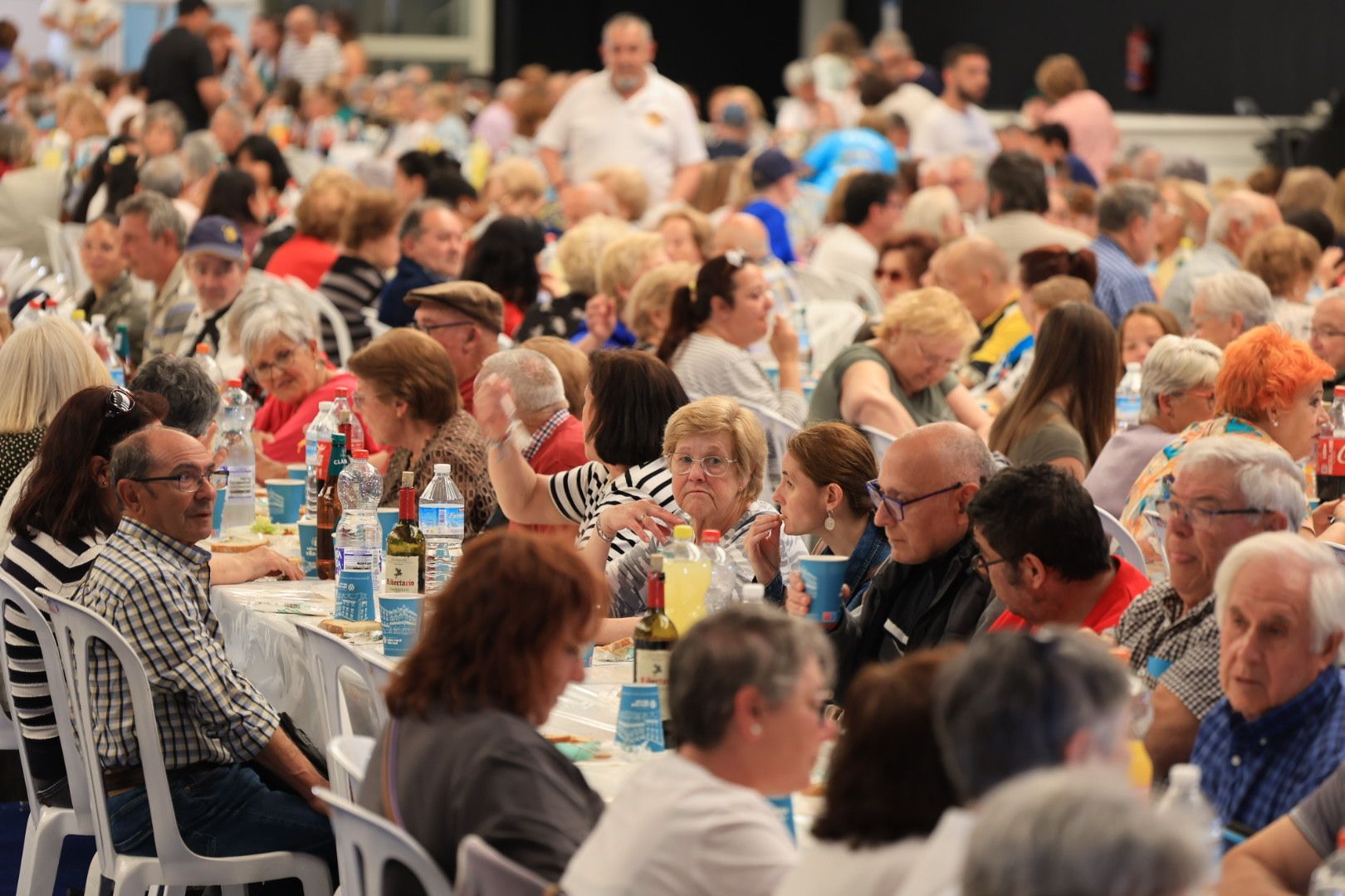 FOTOGALERÍA I Las imágenes de la sexta jornada (miércoles) de las fiestas patronales de Sant Pasqual en Vila-real