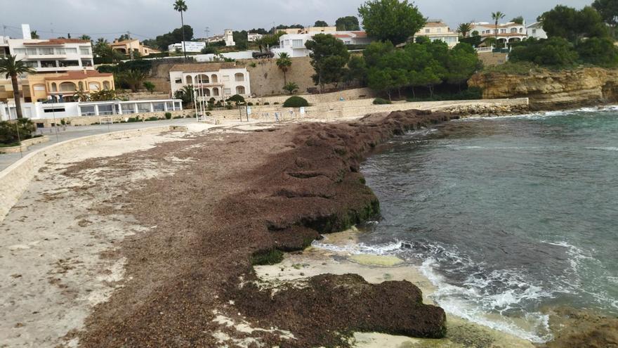 Fallece un bañista de 48 años en la playa de la Fustera de Benissa