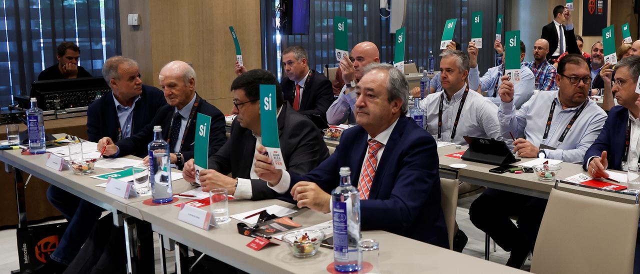 Antonio de Torres, el primero por la derecha en la primera fila, vota en la Asamblea Anual Ordinaria de la Federación Española de Baloncesto.