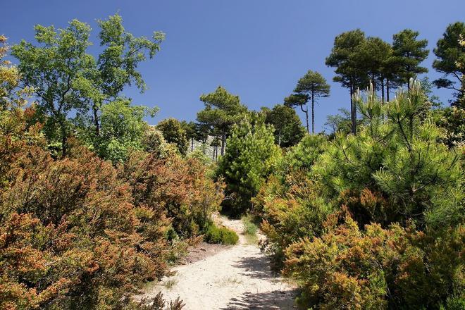 Tivissa, Tarragona