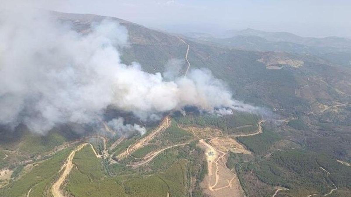 Última hora y actualidad sobre los incendios en España