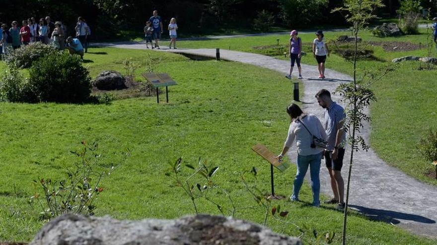 Visitantes en el Jardín Botánico.