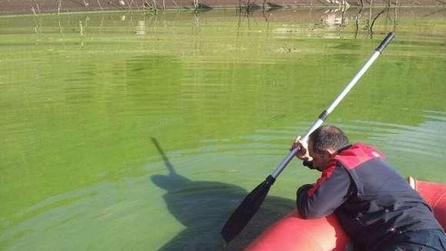 Los bomberos, de prácticas en el agua teñida por las algas.