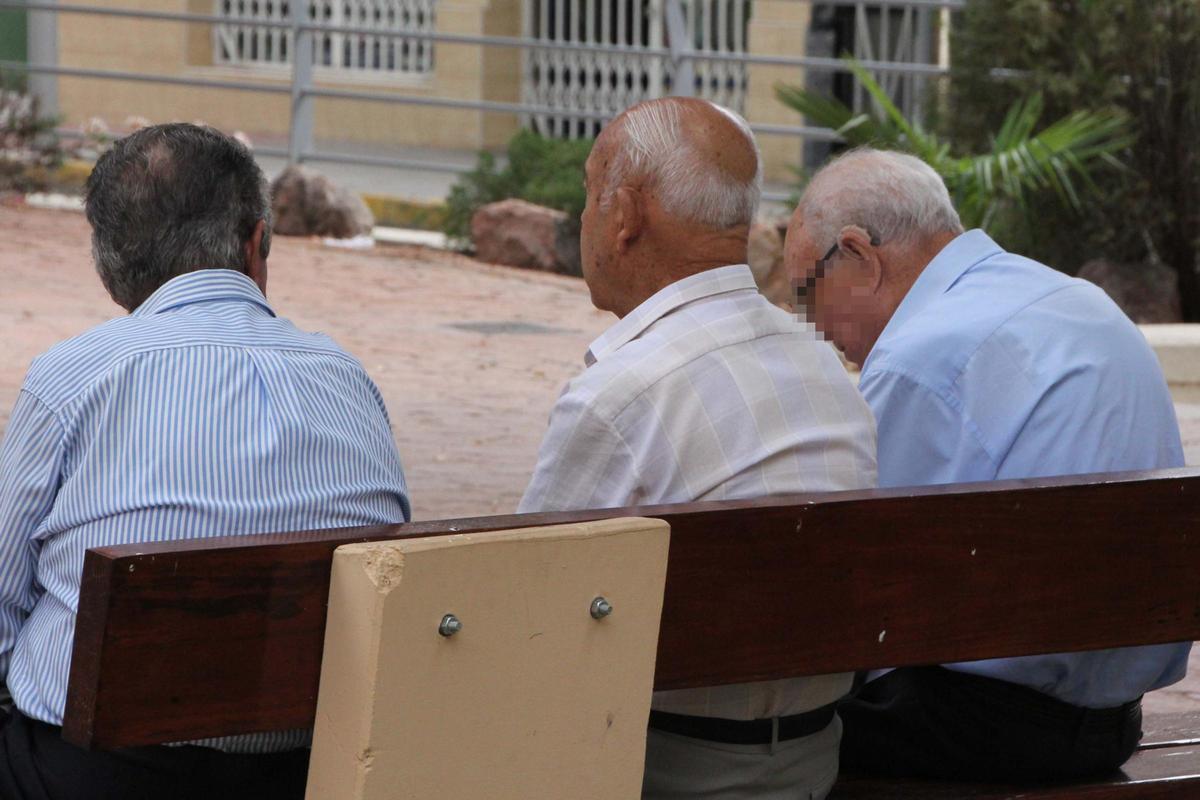 Un grupo de jubilados en un parque de Alicante.