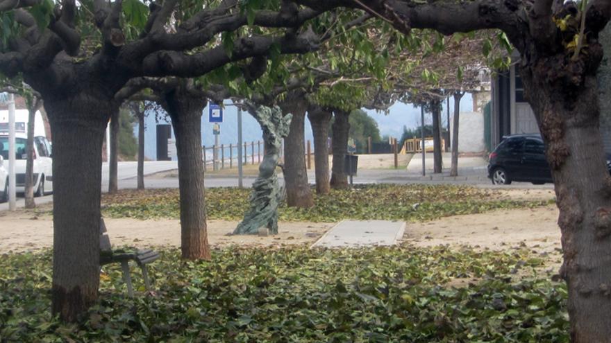 Catifa verda a Sant Fruitós de Bages.