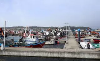 Así se distribuye la flota en Galicia