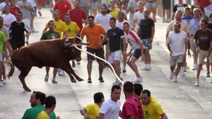 Bou en corda. Turís.