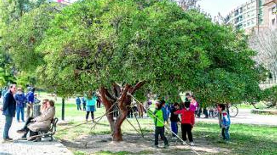 Vecinos y artistas ayudan a proteger el parque Bruil