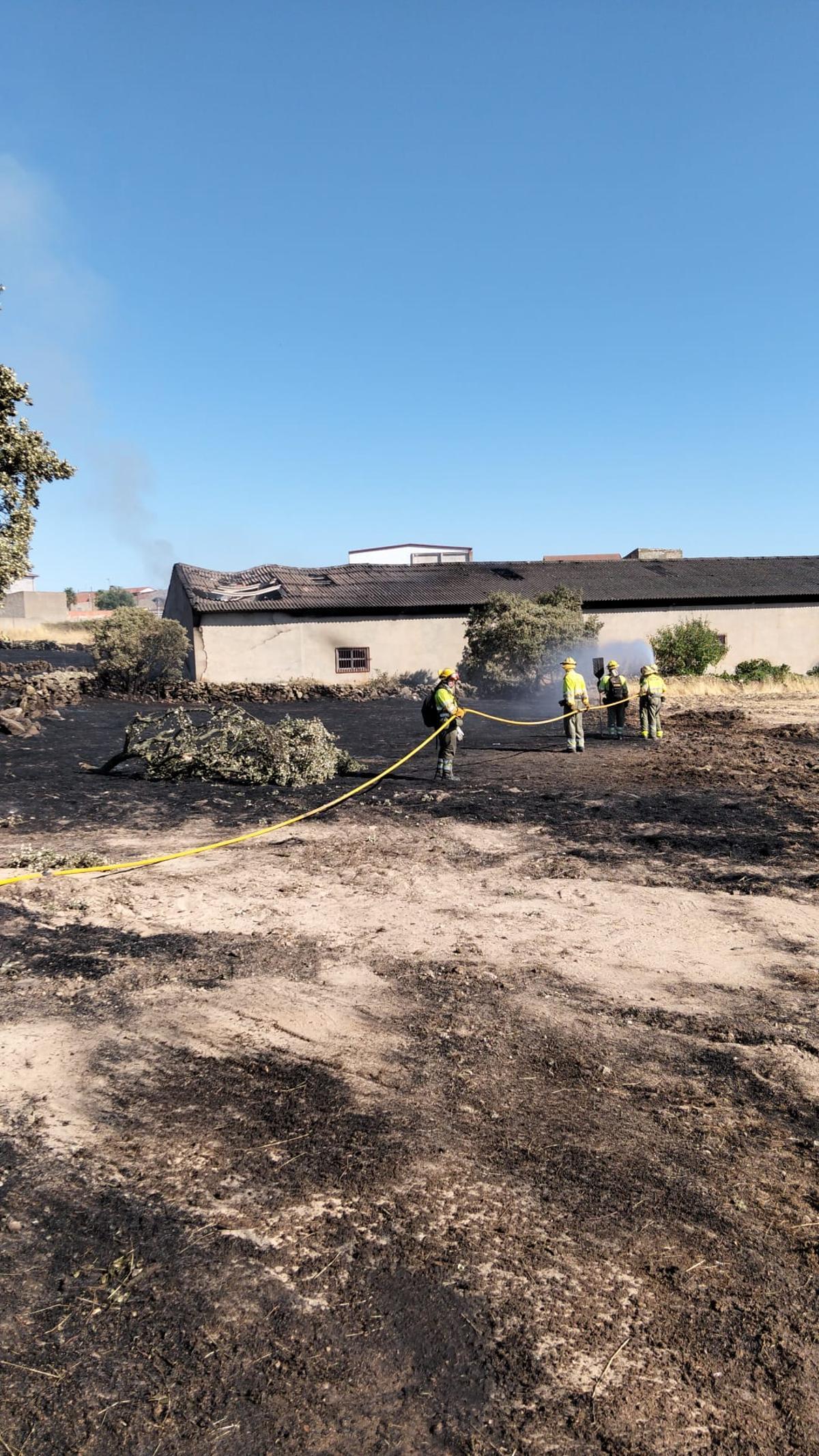 GALERÍA | Importantes daños en el incendio de una nave en Pereruela de Sayago GALERÍA | Importantes daños en el incendio de una nave en Pereruela de Sayago