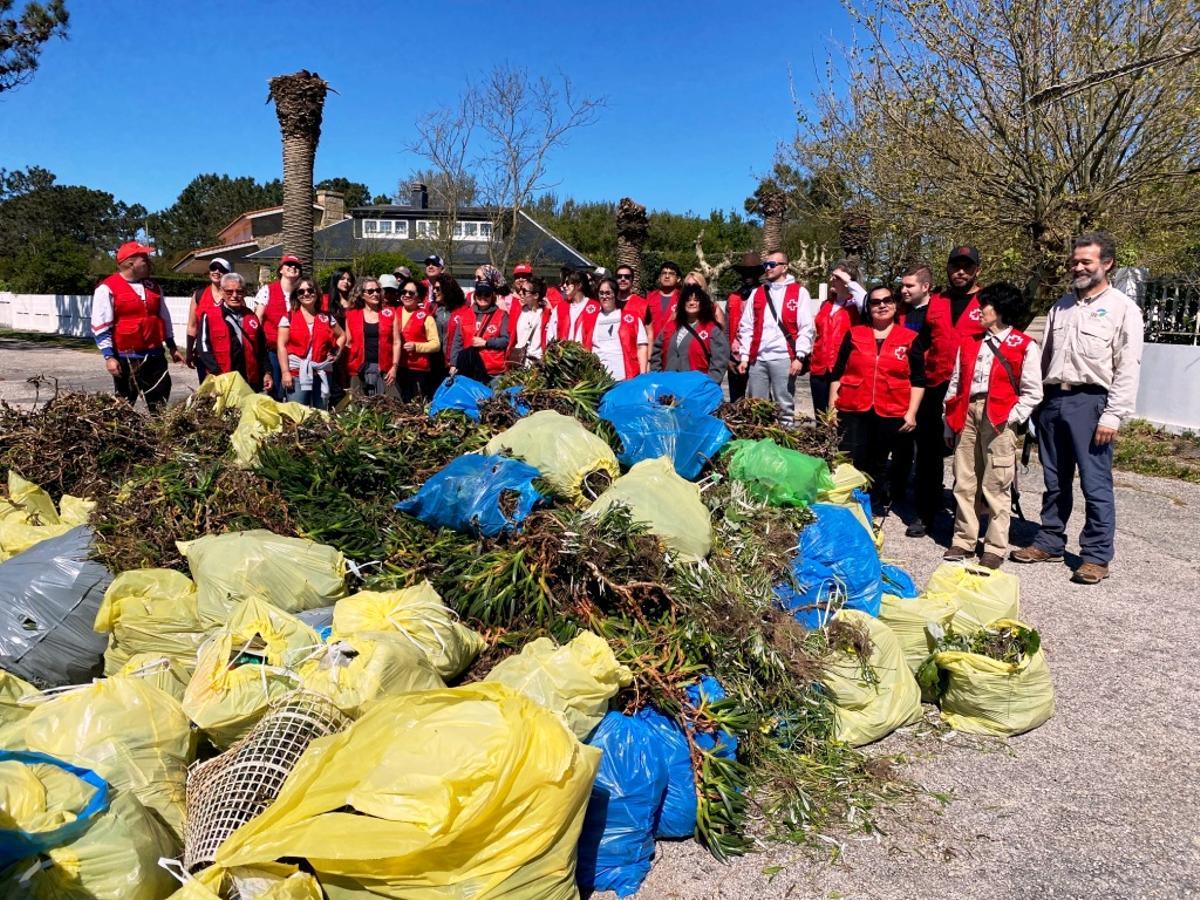 Voluntarios de Cruz Roja y SEO/BirdLife tras retirar basura marina y especies invasoras en Area da Cruz (O Grove).