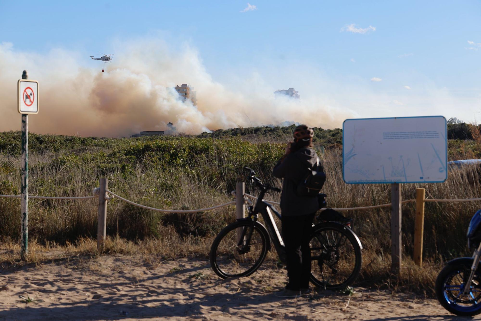 Declarado un incendio en el Saler