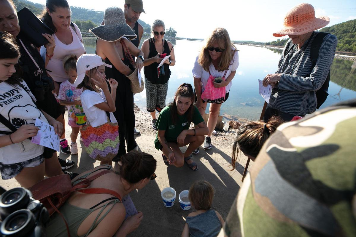 Galería: Así es una visita guiada al Parc Natural de ses Salines