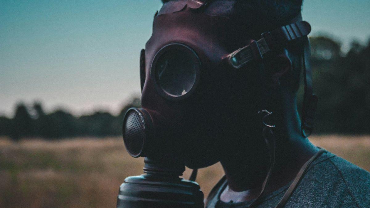 Pesticidas y legado genético: el riesgo que puede durar 20 generaciones.